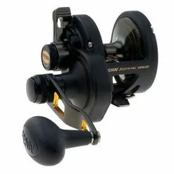 PENN Fathom 25N Lever Drag 2-Speed
