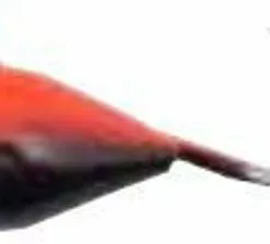 Wiggler Wolfram Mormyska 0,5Gr BR